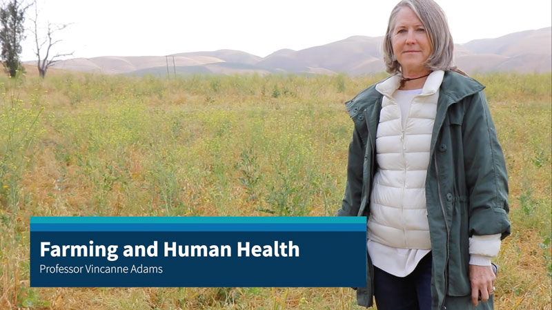 Farming and Human Health - Dr. Vincanne Adams in a field